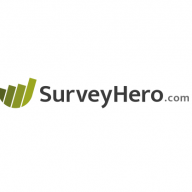 With the support of SurveyHero.com we are able to create mobile ready online surveys.